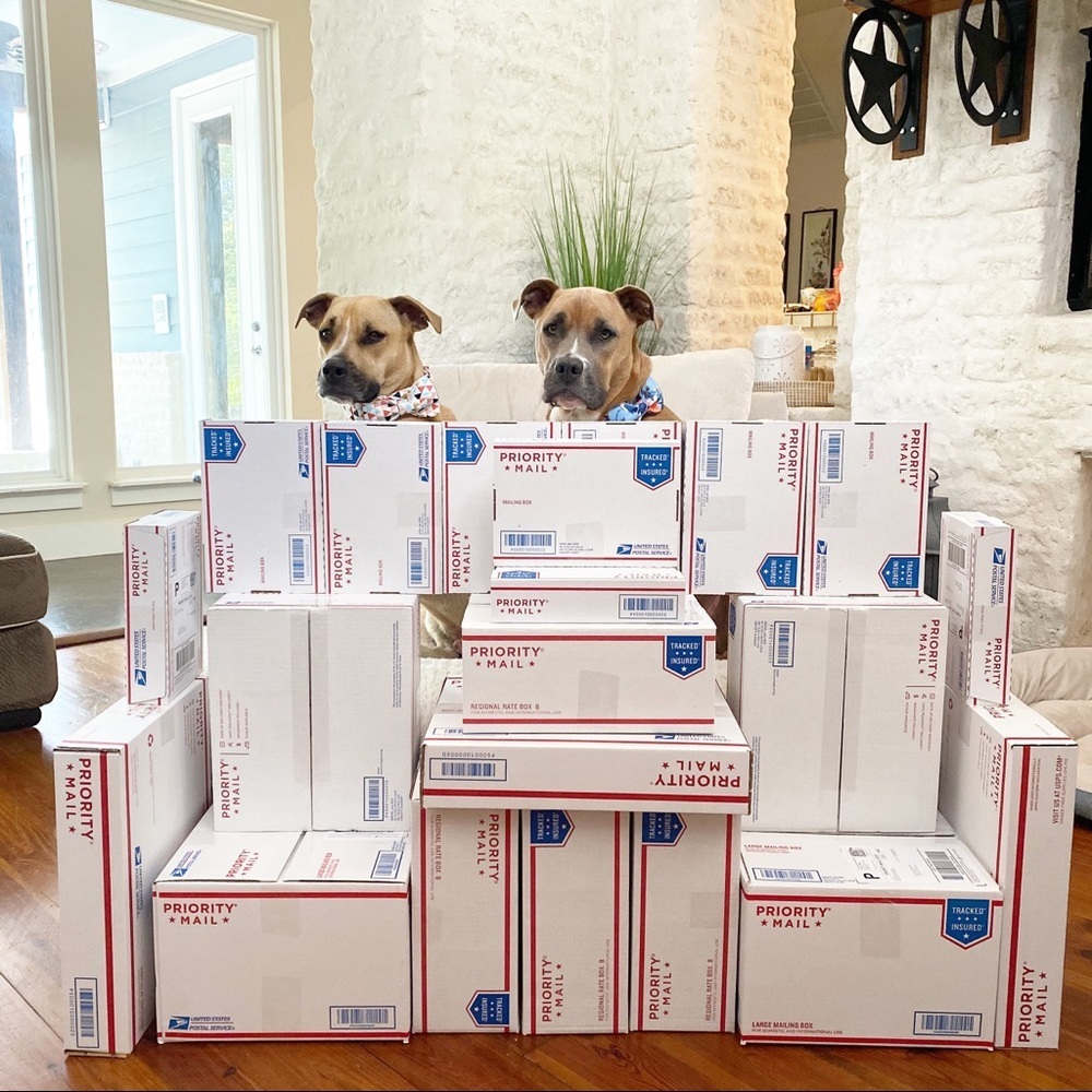 FOLLOW MY CUTE PAWSH ASSISTANTS! 🐶🐶🛍👑🐝 - Picture 15 of 16